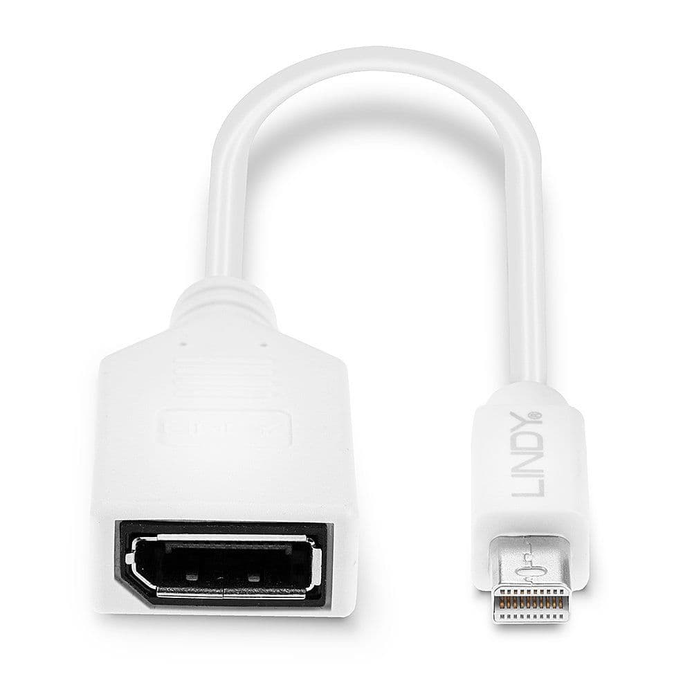 LINDY Adapter mini DisplayPort - DisplayPort, M/F, kábeles