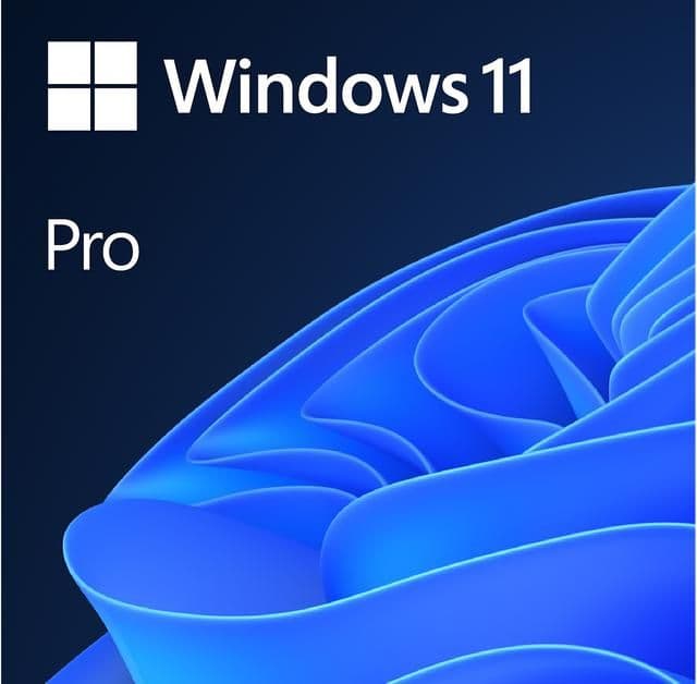 MICROSOFT Windows 11 Pro 64Bit ENG DVD
